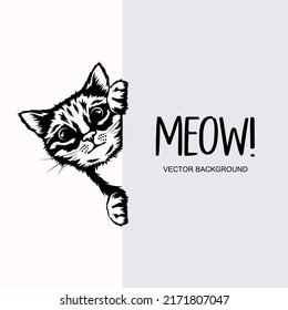 Vector Monochrome Hand Drawn Black, White Hiding Peeking Kitten with Paws. Kitten Head Peeking Over Vertical Blank White Placard, Poster, Banner. Pet Kitten Curiously Peeking Behind White Background