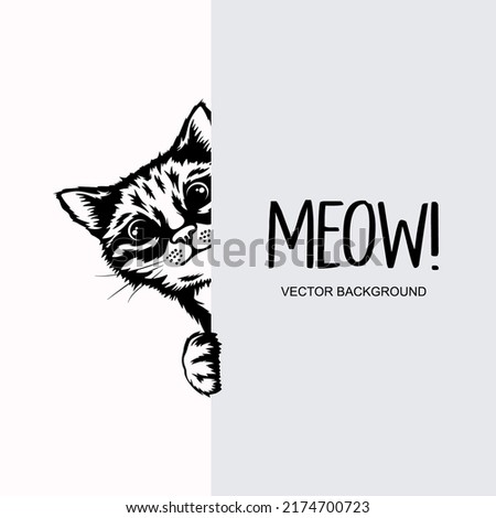 Vector Monochrome Hand Drawn Black, White Hiding Peeking Kitten with Paws. Kitten Head Peeking Over Vertical Blank White Placard, Poster, Banner. Pet Kitten Curiously Peeking Behind White Background
