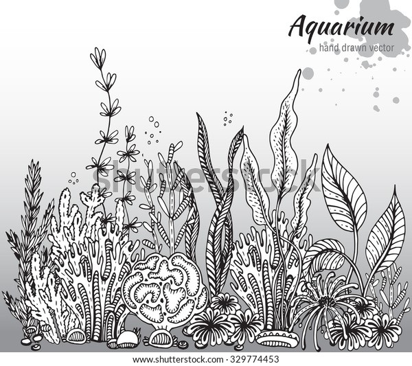 水族館の藻やサンゴを使ったベクター画像のモノクロ手描きのイラスト 水中の世界 白黒の手描きのイラスト のベクター画像素材 ロイヤリティフリー