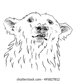 Vector monochrome hand drawn sketch polar bear head