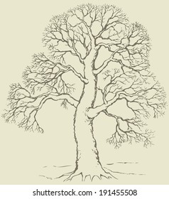 Vector monochrome hand-drawn linear image of mighty tree with bare branches