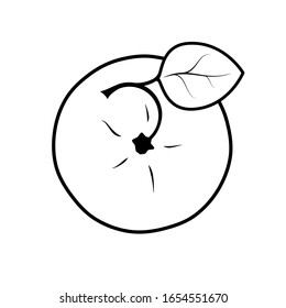 Vector monochrome illustration of apple logo.