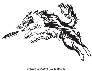 Vector monochrome illustration with dog (border collie) isolated on white background. Fluffy black and white dog in profile view jumping and catching Plastic Disc