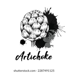 Vector monochrome illustration of hand drawn artichokes with ink splashes. Sketch of head of cabbage healthy vegetables with hatching. Natural healthy food clipart with lettering.