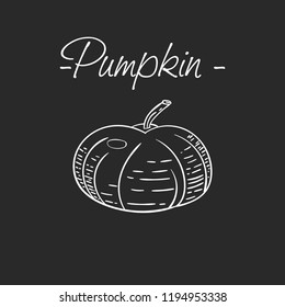 Vector monochrome illustration pumpkin. Hand drawing sketch.