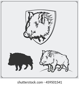 Vector monochrome illustration of a wild boar.