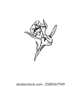 Vector monochrome illustration of wormwood flower sketch hand drawn. Medicinal plant. for herbal, cosmetic or botanical design. Vintage outline style. Isolated background.