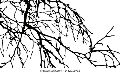 Vector monochrome image of a tree branch without leaves, on a white background.