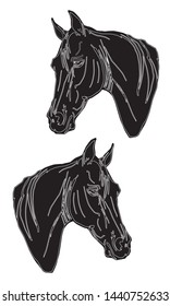 vector monochrome isolated image of the heads of two black thoroughbred horses