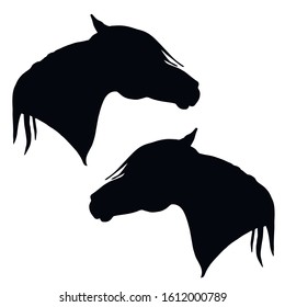 vector monochrome isolated image of the silhouettes of the heads of two black thoroughbred Arab stallions