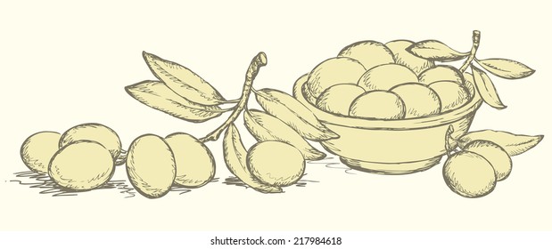 Vector monochrome line drawing style of antiquity engravings. Still life of bowl with fresh fruits and twig of ripe olives with leaves on olivaceous backdrop