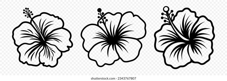 Vector Monochrome Outline Ink Hibiscus. Chinese Rose Set. Floral Design Elements. Hibiscus Flower Linear Black and White Icon, Tattoo. Hibiscus Flowers Isolated