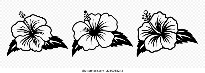 Vector Monochrome Outline Ink Hibiscus. Chinese Rose Set. Floral Design Elements. Hibiscus Flower Linear Black and White Icon, Tattoo. Hibiscus Flowers Isolated