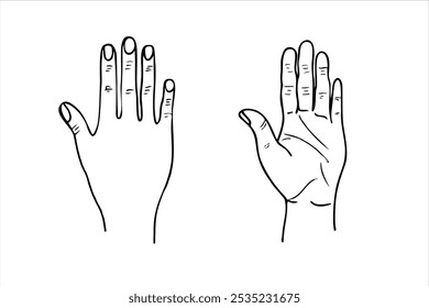 Vector monochrome palm and back view of human hand simple line art illustration painted by black inks. Body part etching drawing for medical presentation, project, advertising.