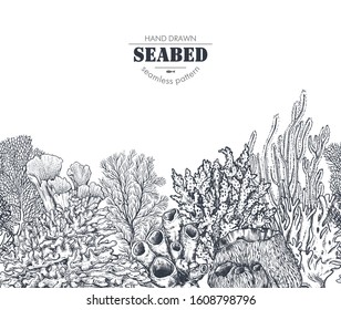 Vector monochrome seamless coral reef pattern with tropical algae, corals. Underwater world. Black and white hand drawn graphic endless background