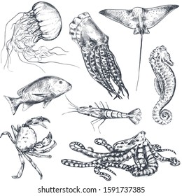 Vector monochrome seamless pattern with ocean and sea animals in sketch style. Underwater world. Black and white hand drawn graphic endless background