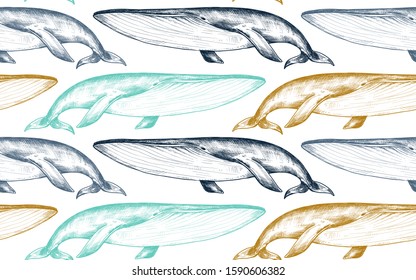 Vector monochrome seamless pattern with whales in sketch style. Underwater world. Hand drawn graphic endless background.