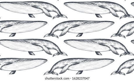 Vector monochrome seamless pattern with whales in sketch style. Underwater world. Black and white hand drawn graphic endless background