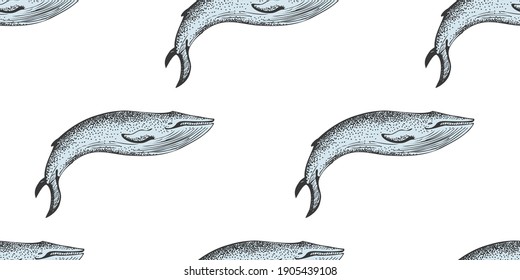 Vector Monochrome Seamless Pattern With Whales In Sketch Style.