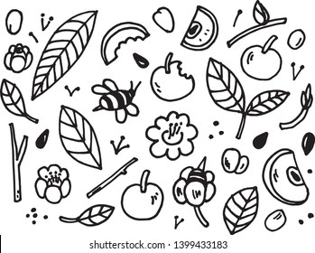 Vector monochrome set of garden isolated on white. Apples, leaves, seeds and bees sketch