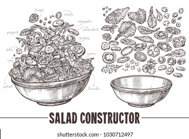 Vector monochrome set of sketch elements, components and ingredients for vegetables salat. Hand drawn collection of cut products and plate