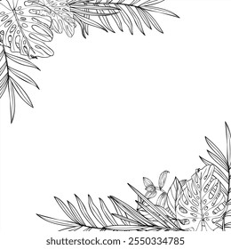 Vetor monocromático folhas tropicais vetor quadro quadrado com espaço vazio para o texto. Areca, Cycas, tradescantia, monstera planta linha arte tinta preta esboço. Ilustração floral para convite.