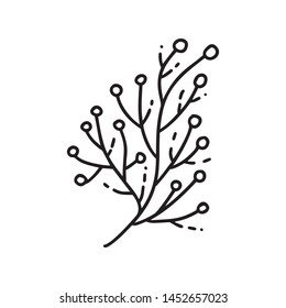 Vector monoline illustration branch with seeds natural icon. Black logo for eco design