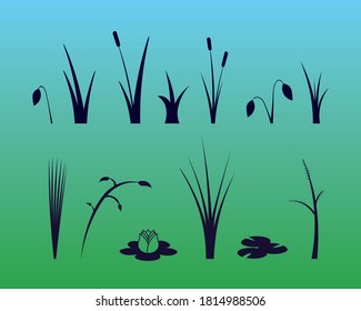 Vector Monotone Water Plants: Grasses, Reeds, Lilies