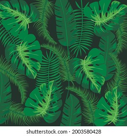 Vector. Monstera es increíble y peculiar. 