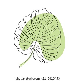 Vector monstera leaf illustration. Tropical plant. Exotic hand-drawn art. Minimalistic floral illustration. Botanical art. Modern line art. Jungle illustration. Palm branch. Plant illustration. Doodle