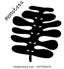 Vector monstera leaf. Isolated sketch with 
paint inside on white background. Good as pattern elements, frame part, prints.