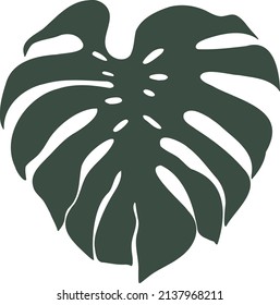 Vector Monstera Leaf. Tropical Vector. Tropical Vector Icon, Monstera Leaf.