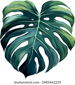 Vector monstera leaf. Tropical plant is bright. Paradise, Hawaii, exotic