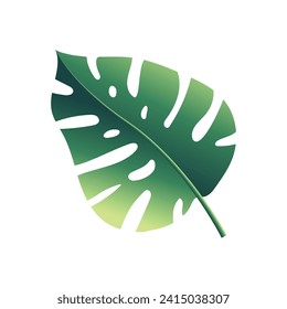 El monstera vectorial se va sobre fondo blanco.