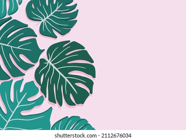 vector monstera leaves on pink background
