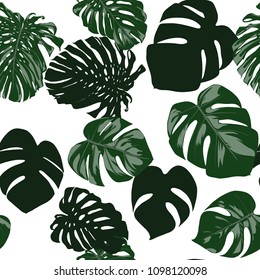 Vector Monstera Leaves. Seamless Tropical Pattern. Beautiful Hand-drawn Background with Philodendron Leaf. Exotic Illustration with Jungle Foliage. Seamless Monstera Pattern For Print, Textile, Fabric