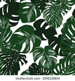 Vector Monstera Leaves. Seamless Tropical Pattern. Beautiful Hand-drawn Background with Philodendron Leaf. Exotic Illustration with Jungle Foliage. Seamless Monstera Pattern For Print, Textile, Fabric