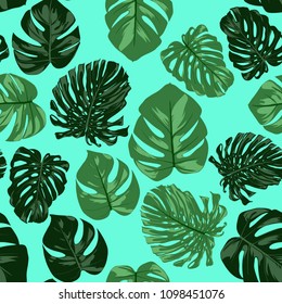 Vector Monstera Leaves. Seamless Tropical Pattern. Beautiful Hand-drawn Background with Philodendron Leaf. Exotic Illustration with Jungle Foliage. Seamless Monstera Pattern For Print, Textile, Fabric