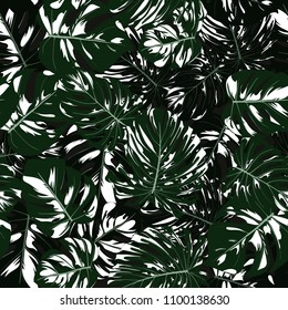 Vector Monstera Leaves. Seamless Tropical Pattern. Beautiful Hand-drawn Background with Philodendron Leaf. Exotic Illustration with Jungle Foliage. Seamless Monstera Pattern For Print, Textile, Fabric
