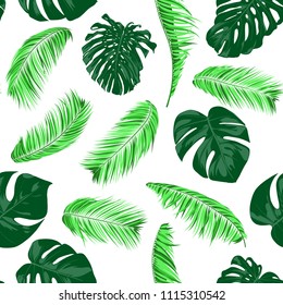 Vector Monstera and Palm Leaves. Tropical Seamless Pattern. Exotic Summer Background. Green Jungle Foliage on a White Background. Vector Philodendron and Palm Leaves for Print, Cloth Design, Textile.