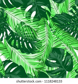 Vector Monstera and Palm Leaves. Tropical Seamless Pattern. Exotic Summer Background. Green Jungle Foliage on a White Background. Vector Philodendron and Palm Leaves for Print, Cloth Design, Textile.
