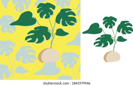 Vector de la planta de monstera y vector de cierre de la hoja de monstera sobre fondo de color amarillo.