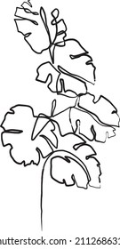 vector monstera plant drawing. one line illustration. botanical art. monstera plant leaves. hand drawn vector leaf design. one line drawn tropical leaves.