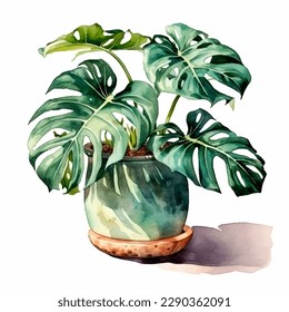 Planta vectorial monstera en la olla. Ilustración vectorial dibujada a mano sobre fondo blanco.