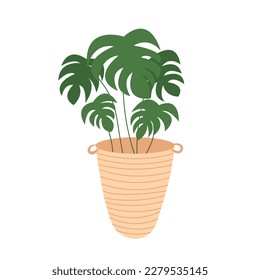 Planta vectorial monstera en la olla aislada. Árbol de monstera de estilo plano en olla de mimbre