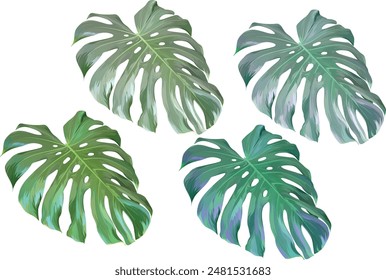Vektorgrafik Monstera Pflanzensatz. Tropische Pflanze, Blatt. Paradiespflanze. mehrfarbiges Blatt