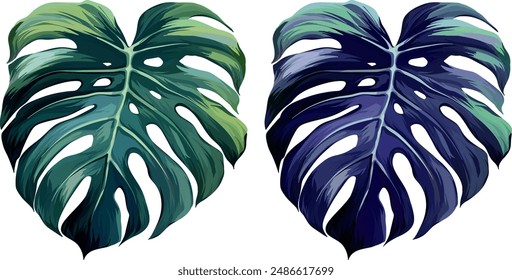 Conjunto de planta de Vector monstera. Planta tropical, hoja. Planta del paraíso. Hoja multicolor