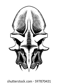 Vector monster's skull