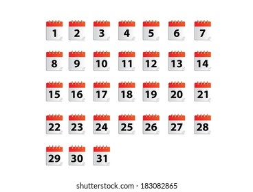 Vector months  calender