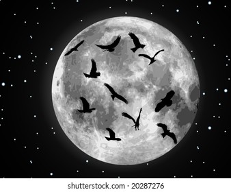 Vector moon illustration